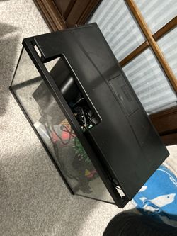 5 Gallon Fish Tank + Everything else you'll need