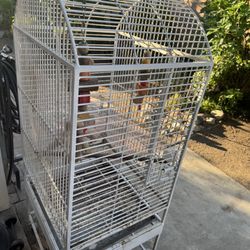 Bird Cage