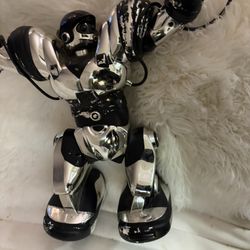Wow wee Robosapien