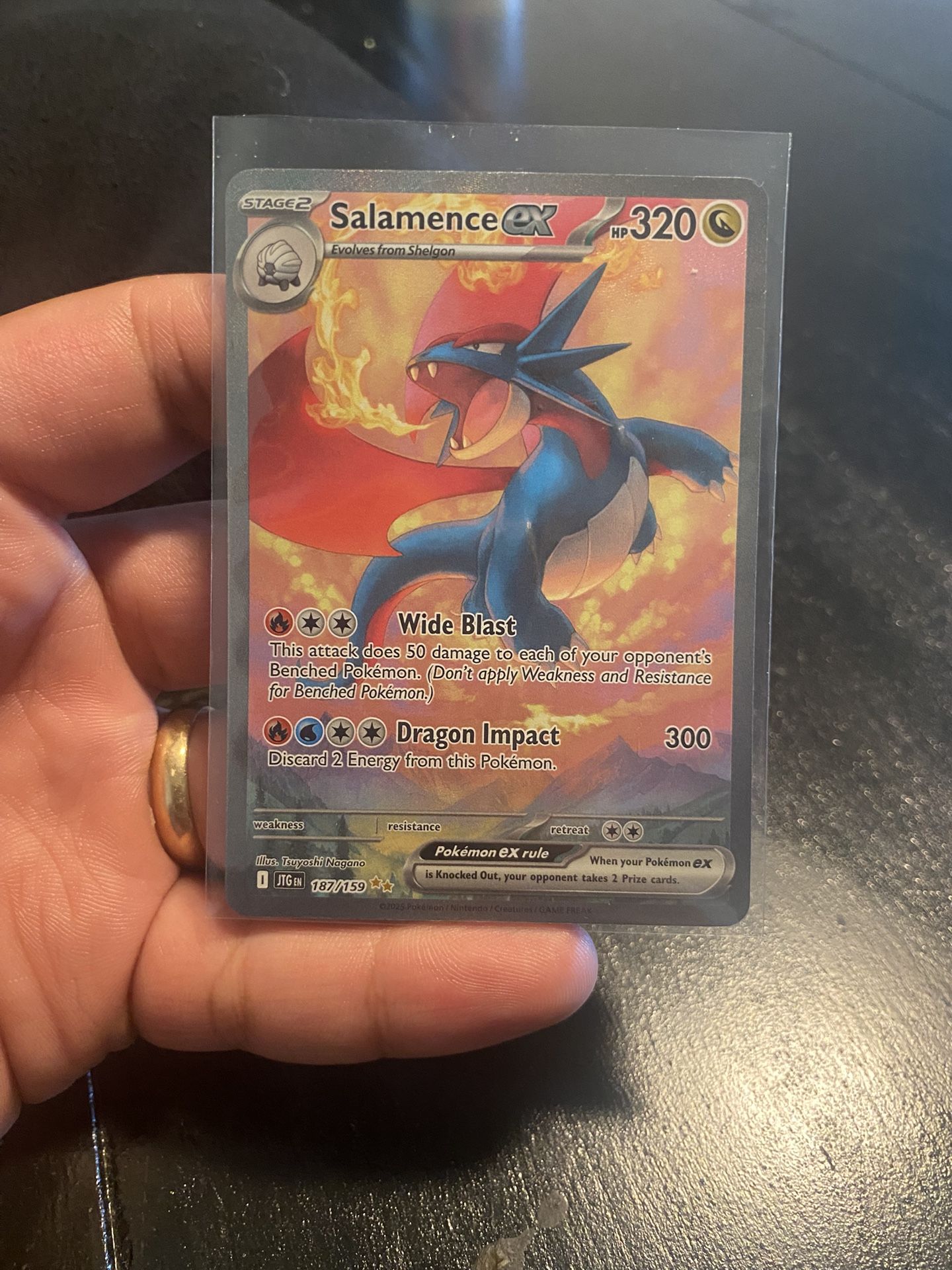 top loader binder for pokemon cards Pokemon - Nagano - Larvitar main image 1