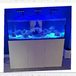 Large Aquarium Tank - Roomy & Beautiful foreign line