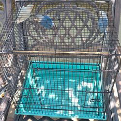 Lovebird Cages