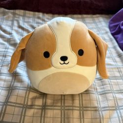 Squishmallows Medium Size