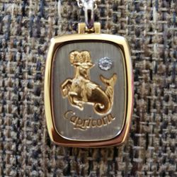 Pierre Cardin capricorn zodiac vintage necklace