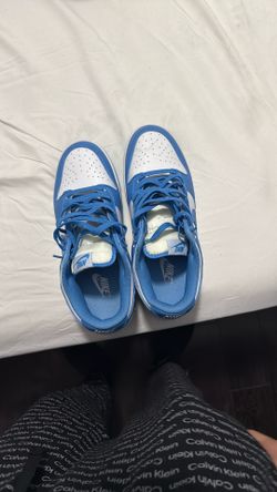 blue retro dunks