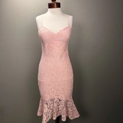 NWT Dusty Rose Lace Floral Cocktail straps dress party women's size 4 clothes