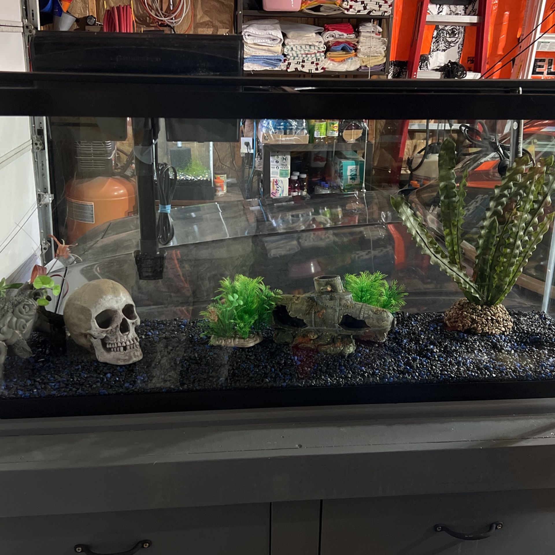 Aquarium And Cabinet