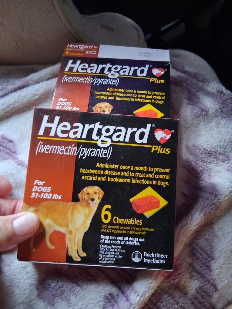 Heart guard 51-100 Lbs