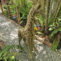 Giraffe  Garden