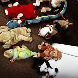 BEANIE BABY COLLECTION 