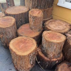Wood Stumps 