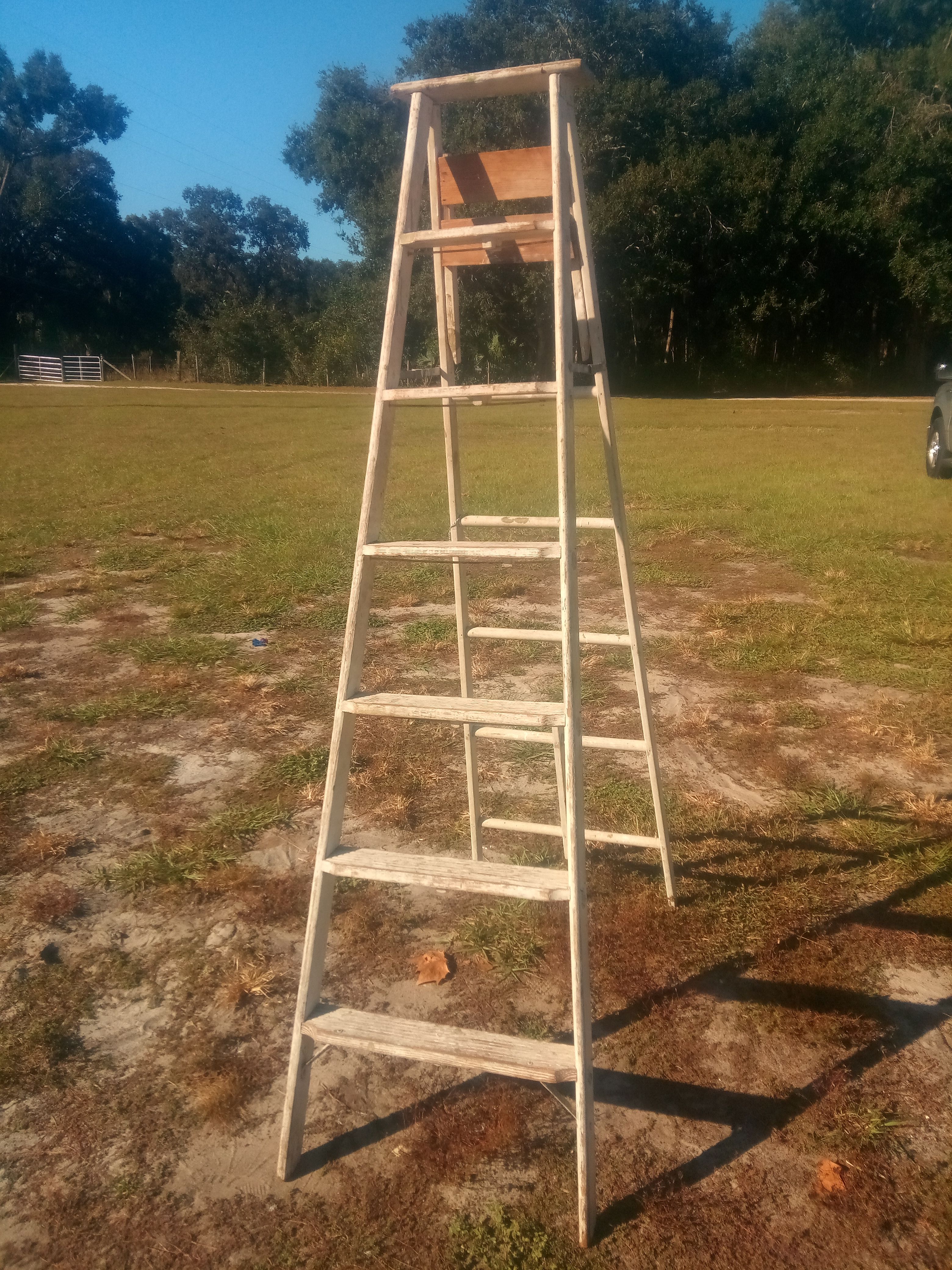 Antique ladder