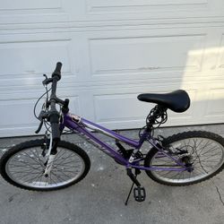 Purple Huffy Bike 