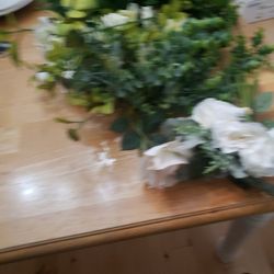 Greenery (Plastic Plants)