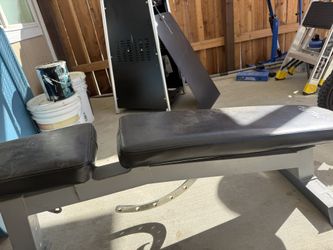 Work Out Bench