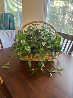 artificial plant