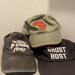 Walt Disney World Resort Hats