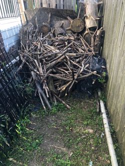 Free wood