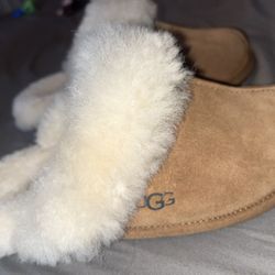 Ugg Slippers