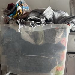 Cloth