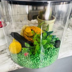 Small fish tank for small fish little use