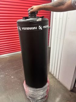 Hayabusa Punching Bag