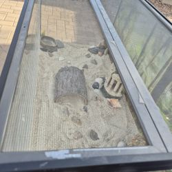 Reptile Aquarium 