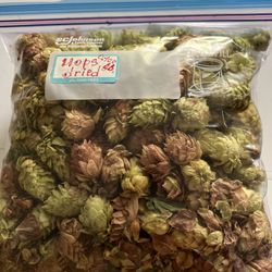 Dried Hop 2024.