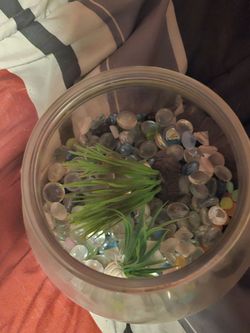 Mini fish bowl