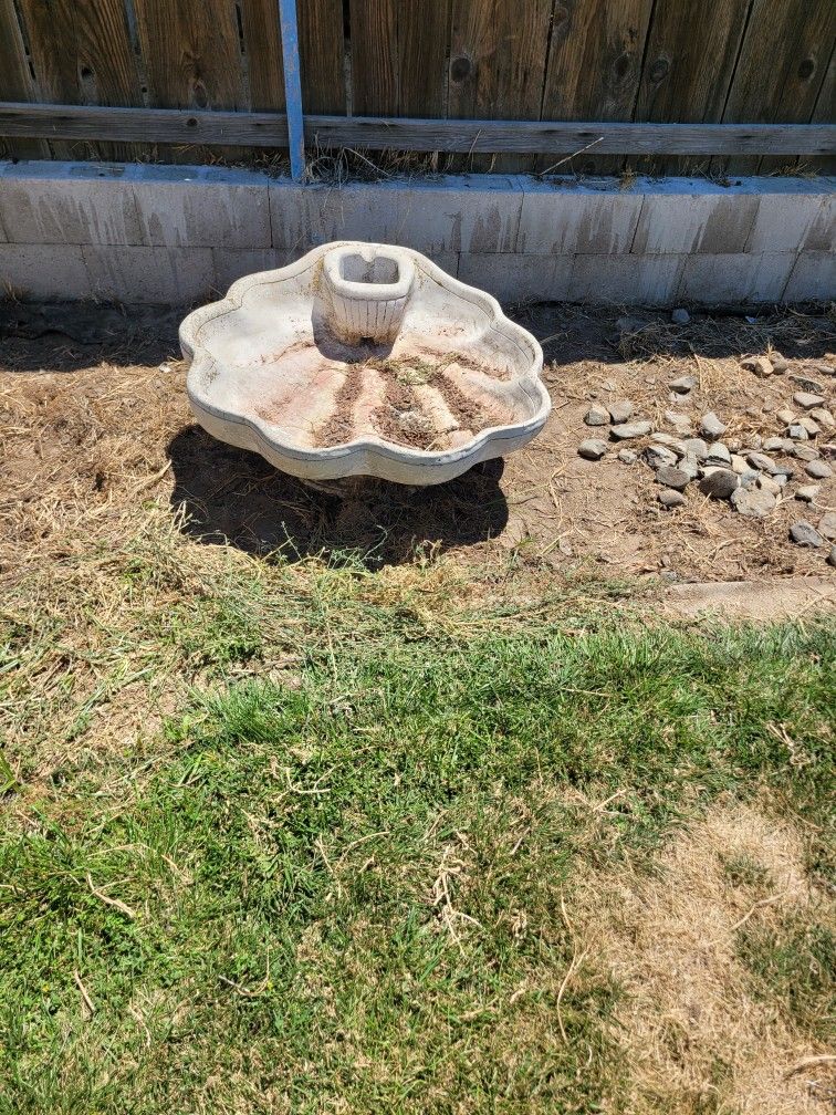 36 In across X 16 In High Shell Shaped Bird Bath