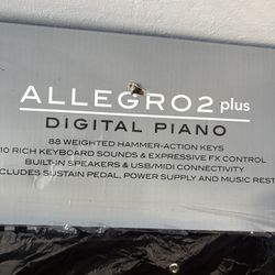 88 Key Electronic Piano 