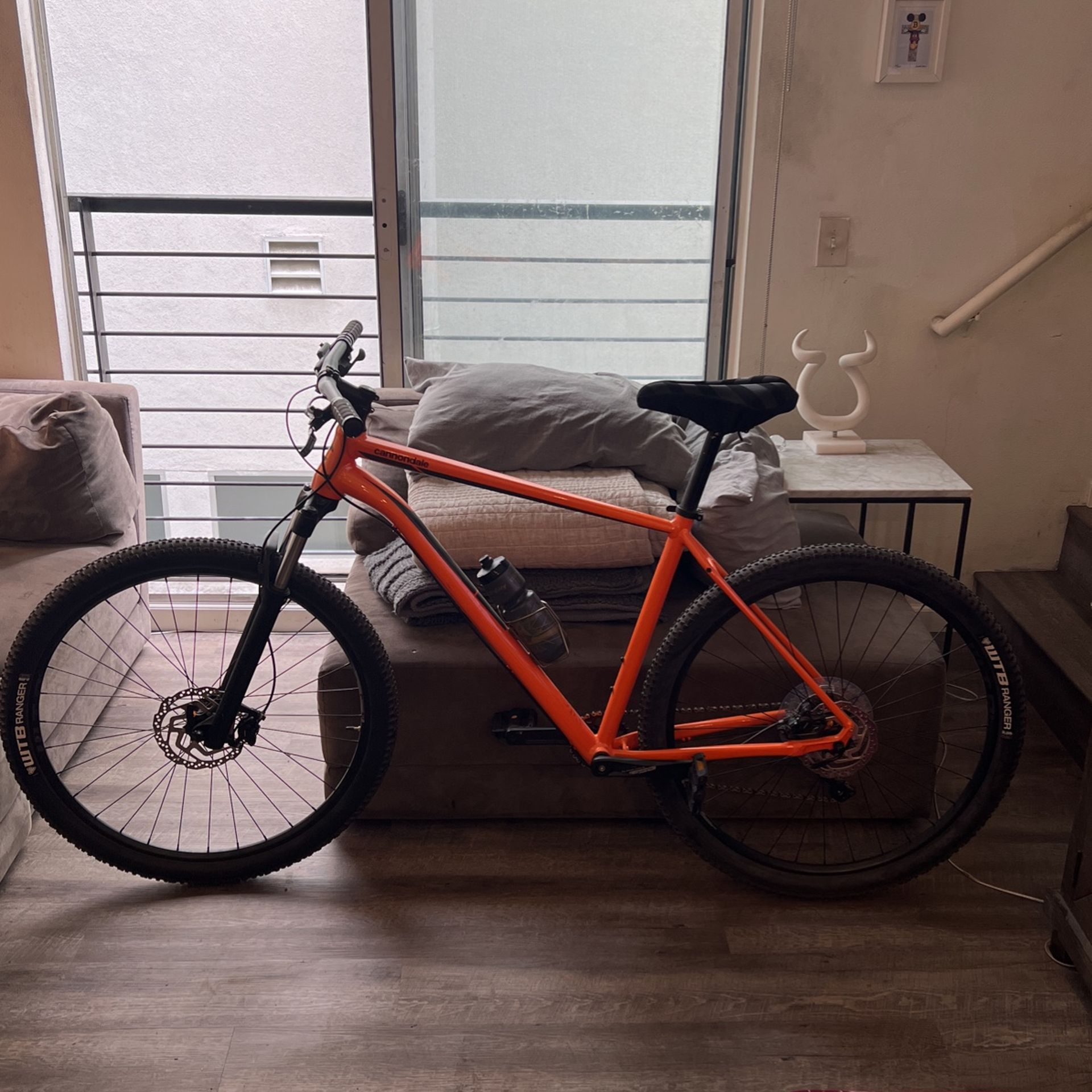 Cannondale Hardtail Mountain Bike