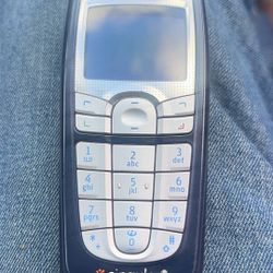 Nokia 6010 
