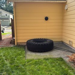 Monster Tire 
