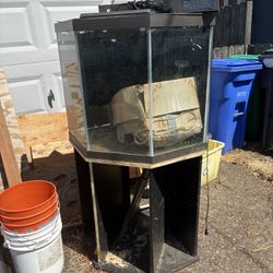 Fish Tank If Up It’s Available 