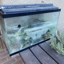 Fish tank with everything you need just needs cleaning