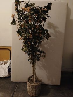 Beautiful 66" Tall Artificial Tree With Small Delicate Flowers