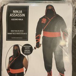 Ninja costume