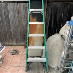 Werner 6 foot ladder