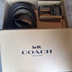 Coach Belt Small Medium