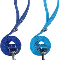 New! 2 Pack Nylon Dog Leashes,Strong & Durable Basic Style Leash with Collar Hook Size small or medium