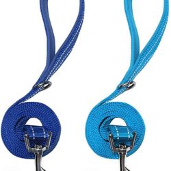 New! 2 Pack Nylon Dog Leashes,Strong & Durable Basic Style Leash with Collar Hook Size small or medium