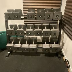Premium TYTAX Dumbbells – Full Set or Individual – Commercial Grade!