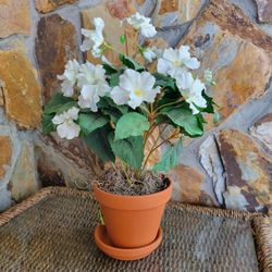 White Silk Flowers In Terra Cotta Pot With Saucer 