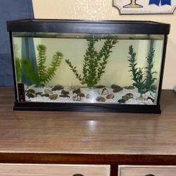 Fish Or Reptile Tank 