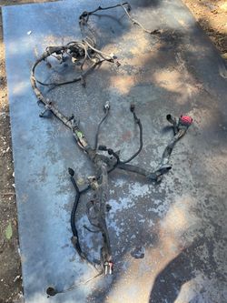 Ford F150 Engine Wiring Harness 5.4 3v 2004-2006