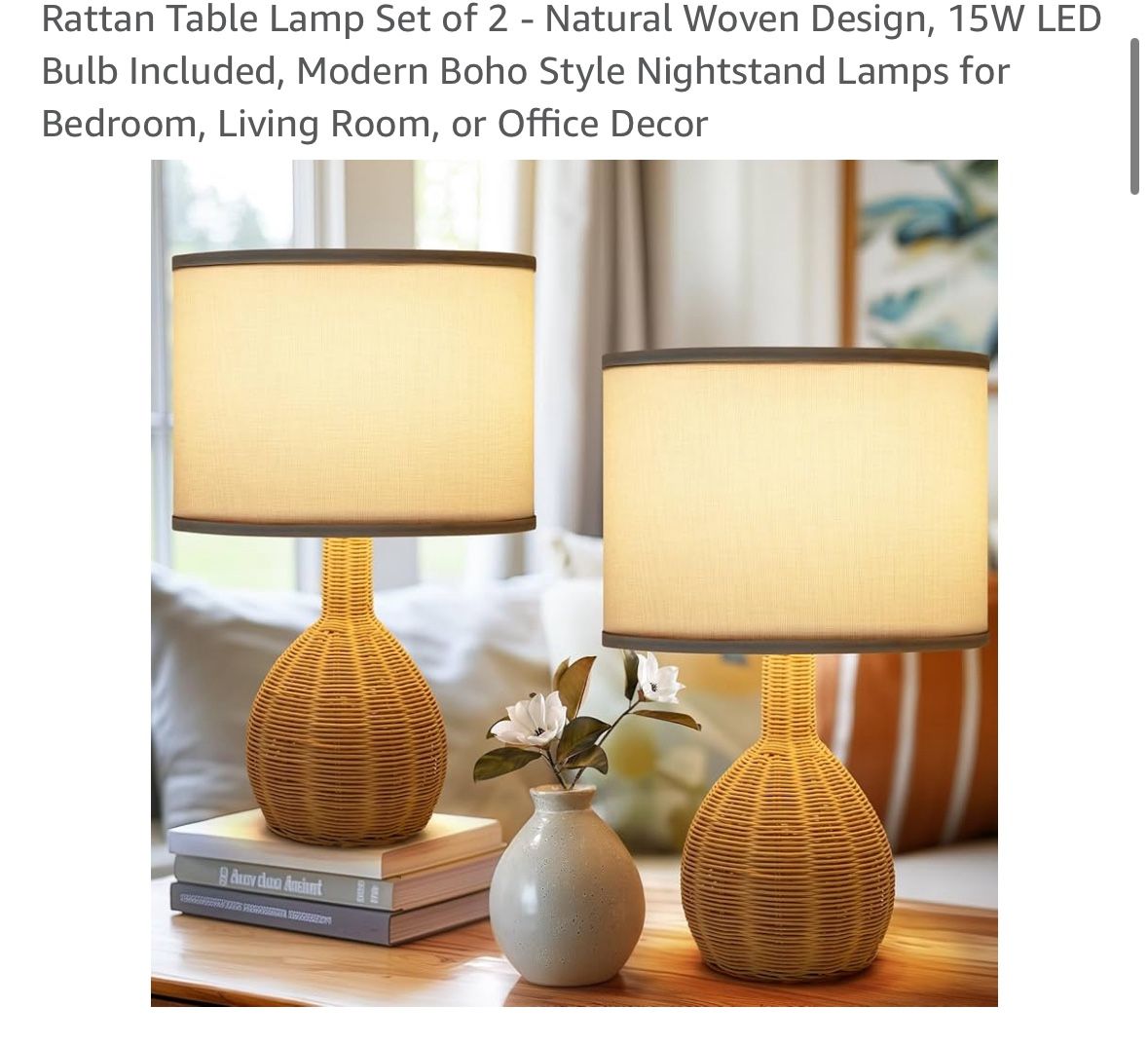 Rattan Table Lamp Set of 2 -