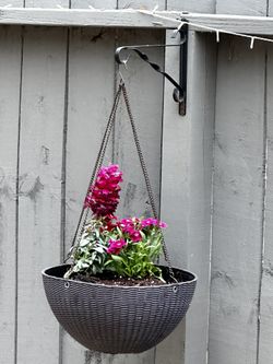 Flower Planters 20 $ Each
