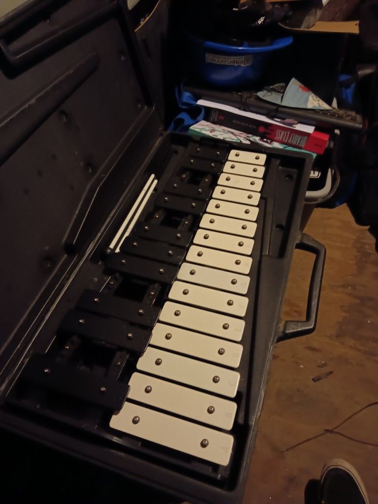 Small Xylophone With Soft Case