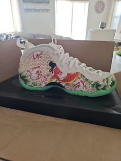 Brand New  Nike Foamposite ( Tiajin)